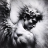 Wuzzy_Forestov